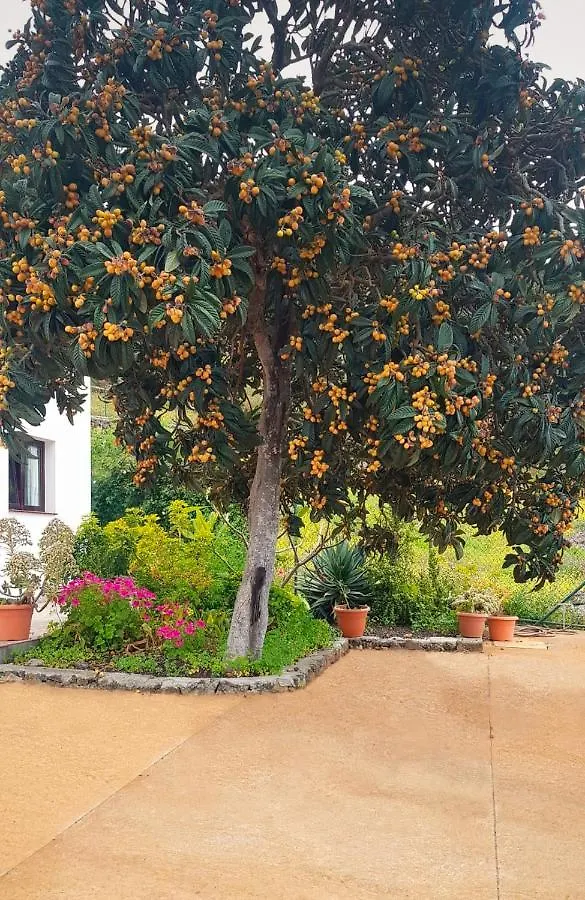 Casa El Nisperero Villa Fuencaliente de la Palma